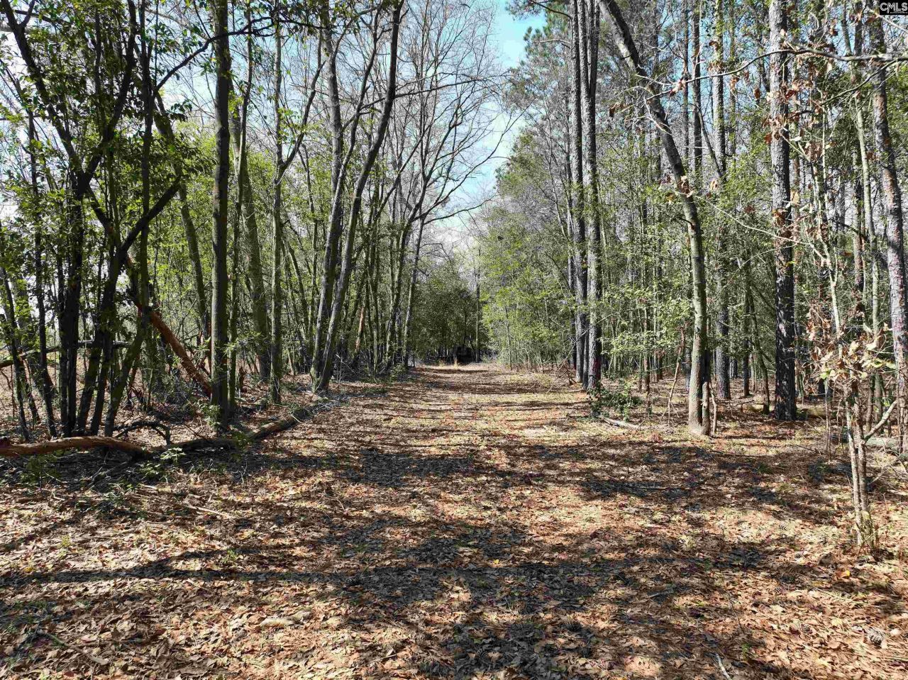 00 Dr Boylston Road Photo 15