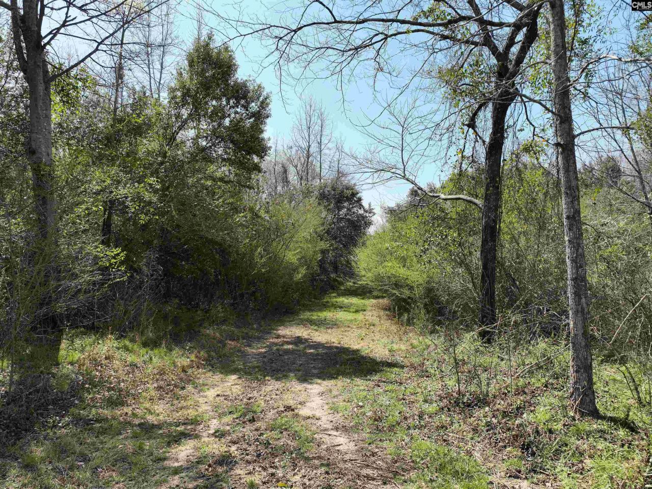 00 Dr Boylston Road Photo 21