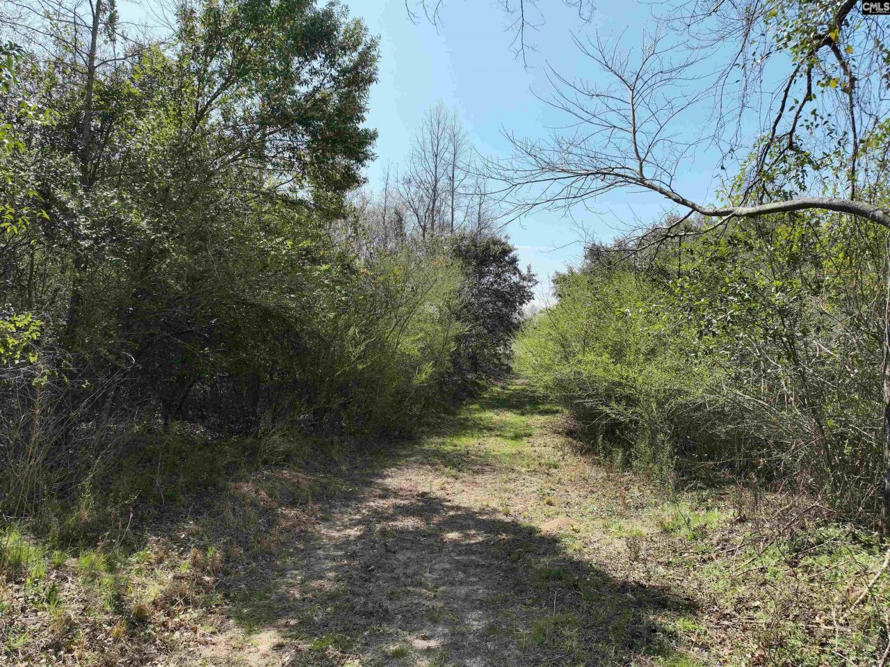 00 Dr Boylston Road Photo 22