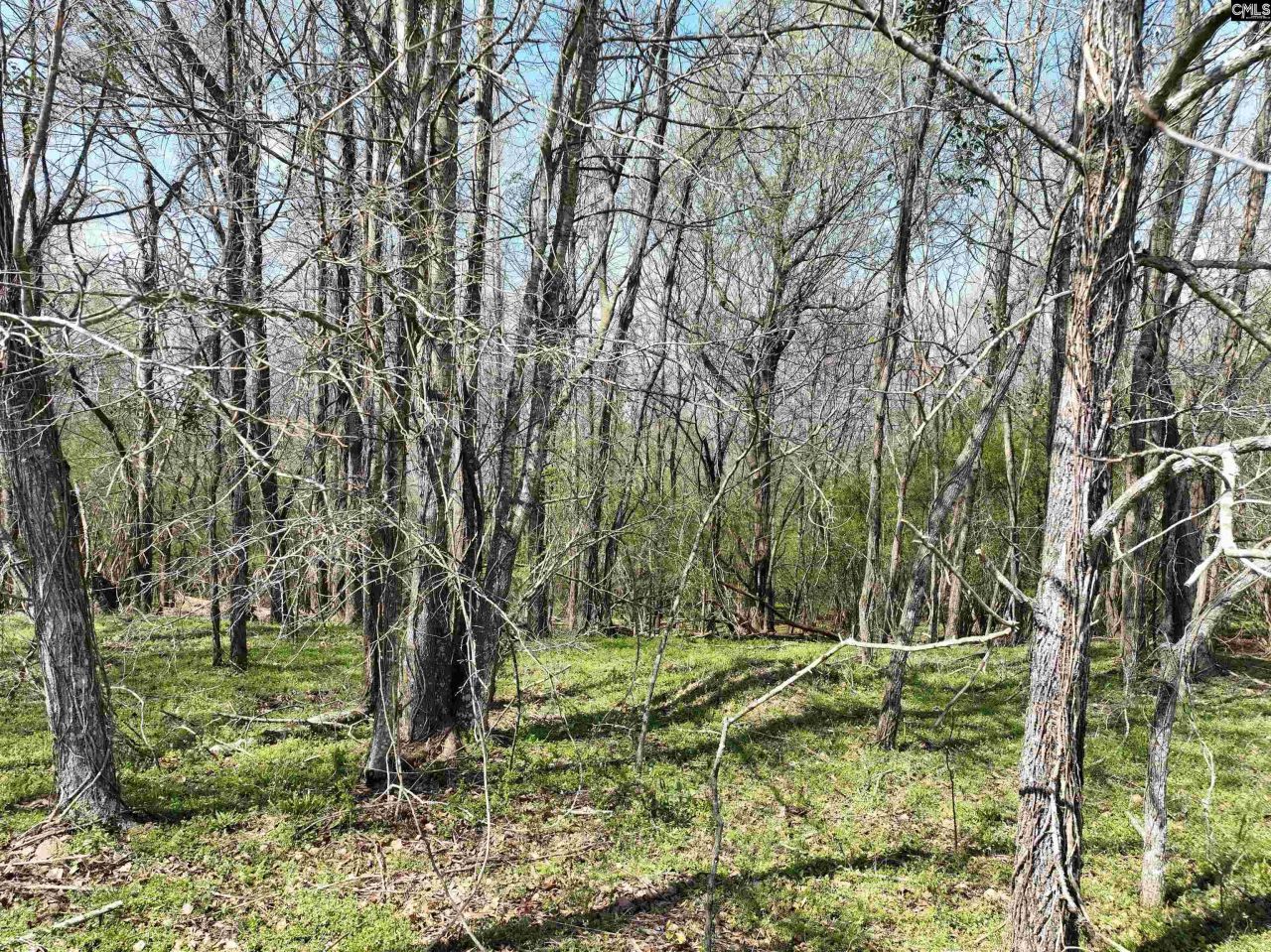 00 Dr Boylston Road Photo 24