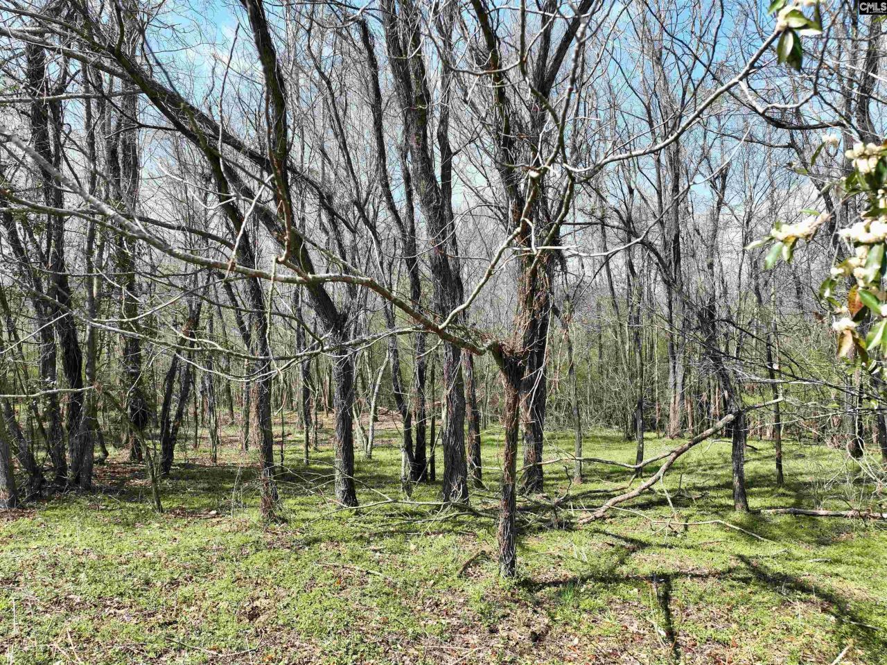 00 Dr Boylston Road Photo 25