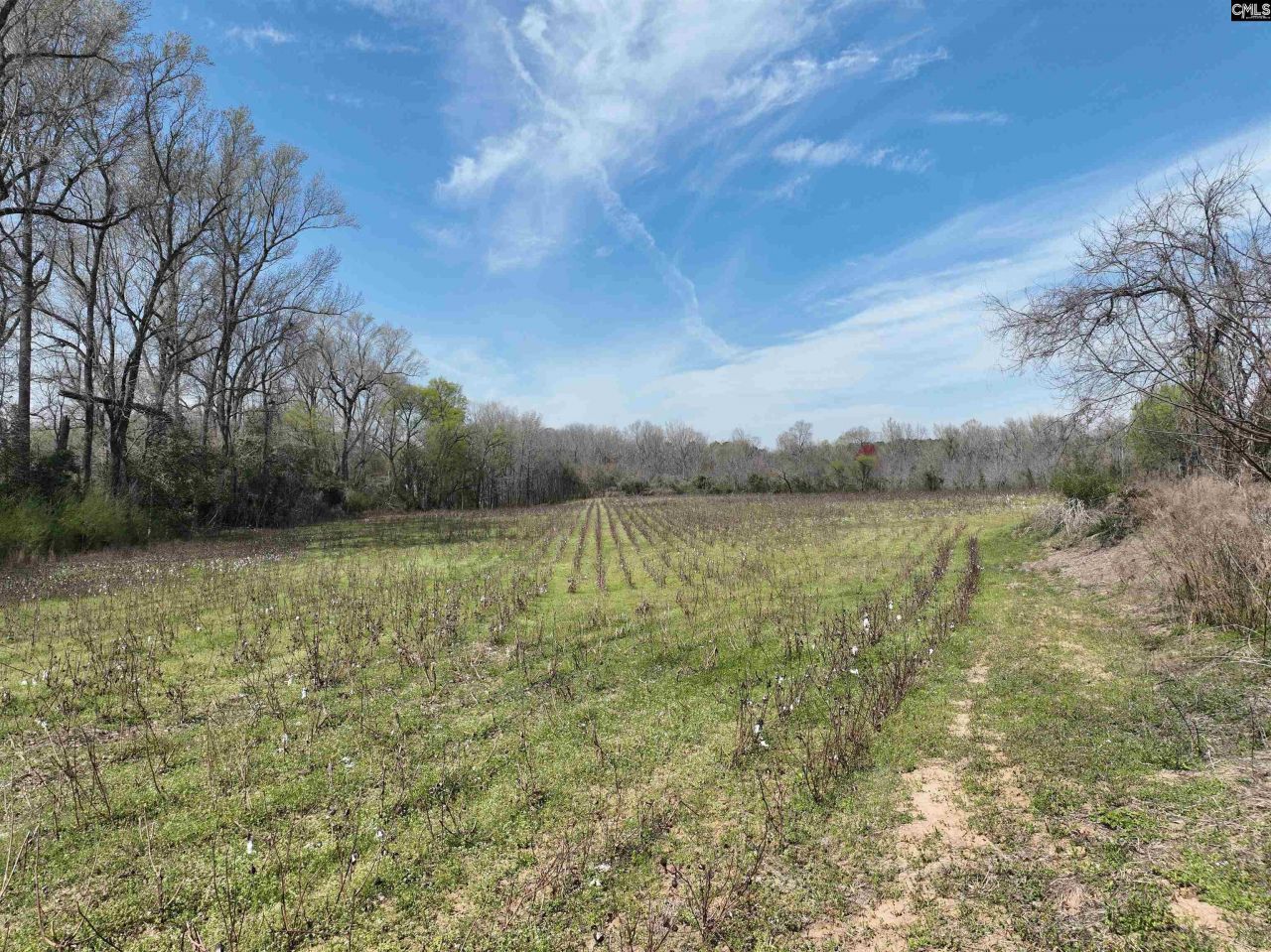 00 Dr Boylston Road Photo 29