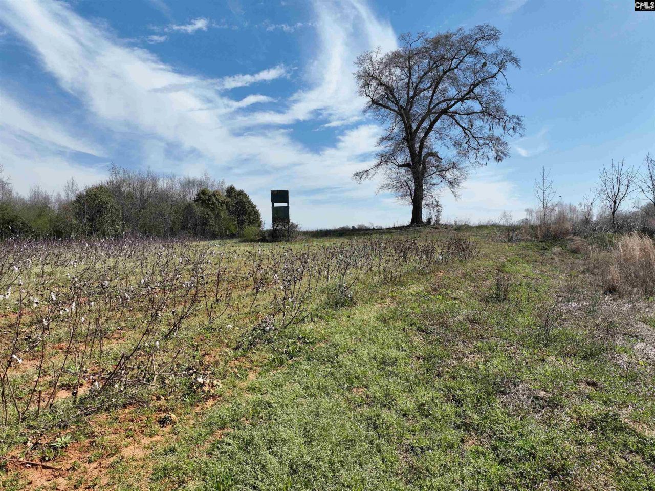 00 Dr Boylston Road Photo 30