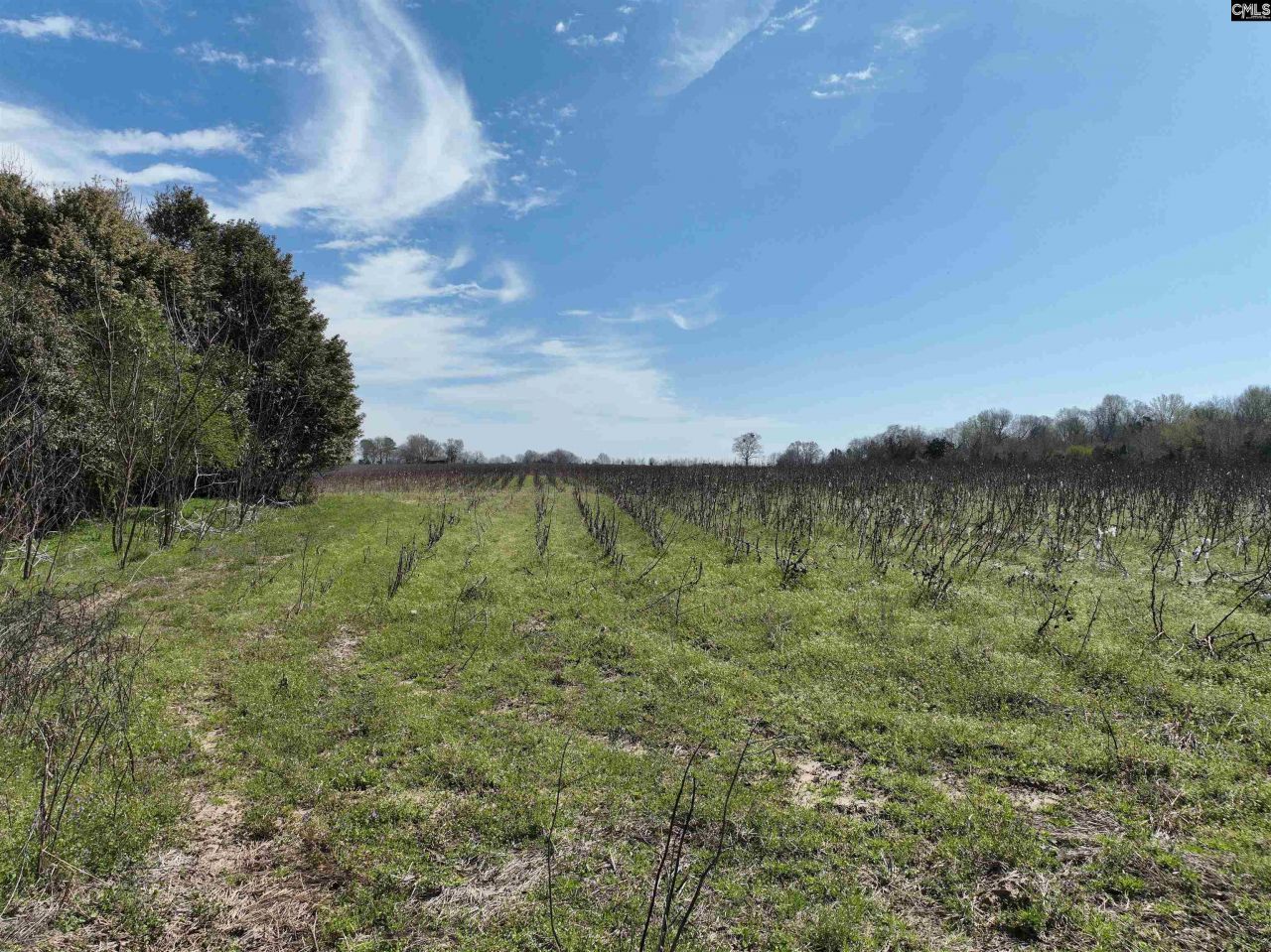 00 Dr Boylston Road Photo 31