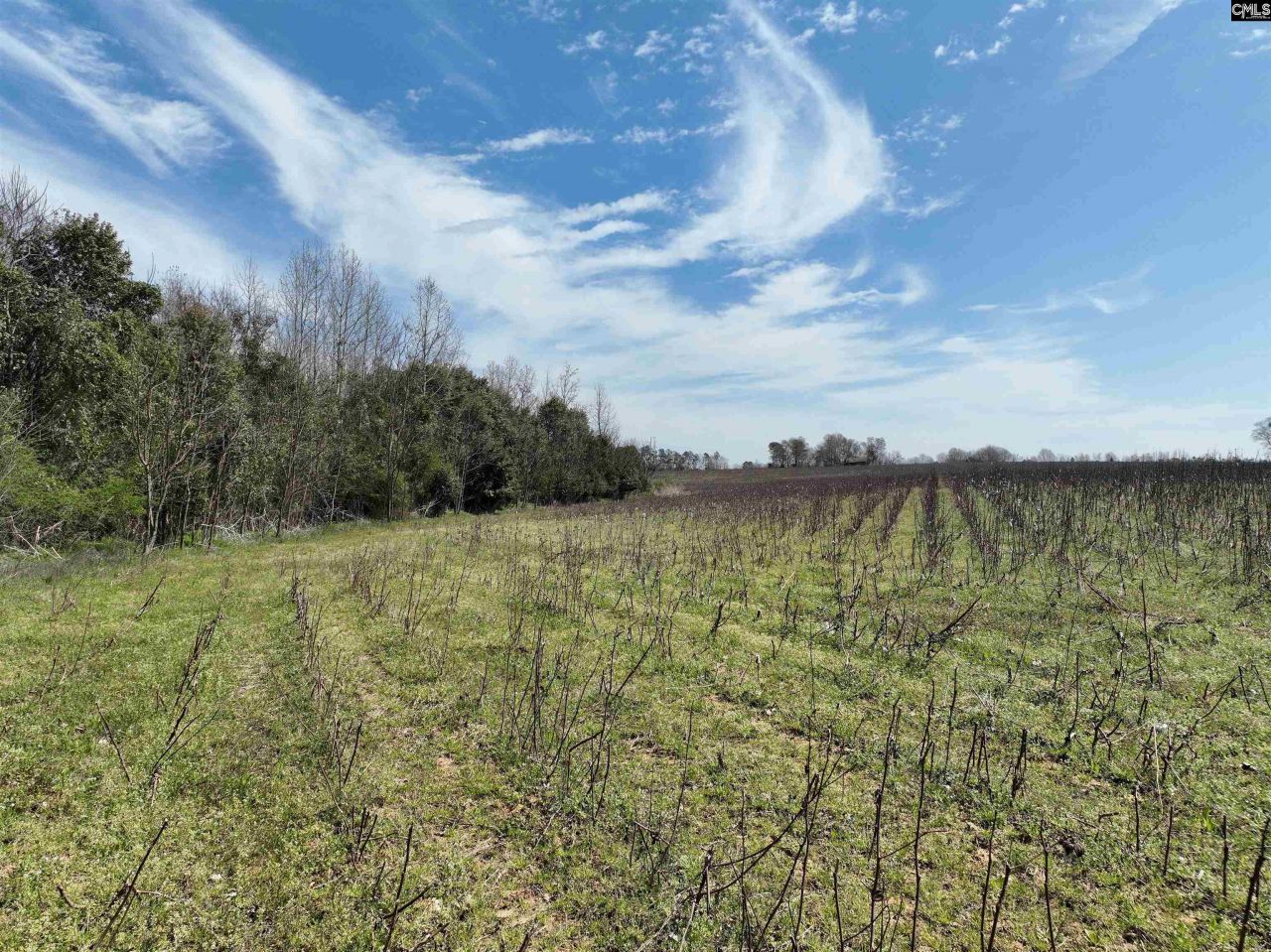 00 Dr Boylston Road Photo 32