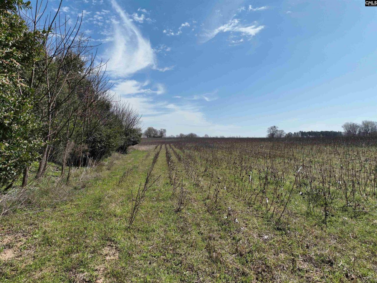 00 Dr Boylston Road Photo 33