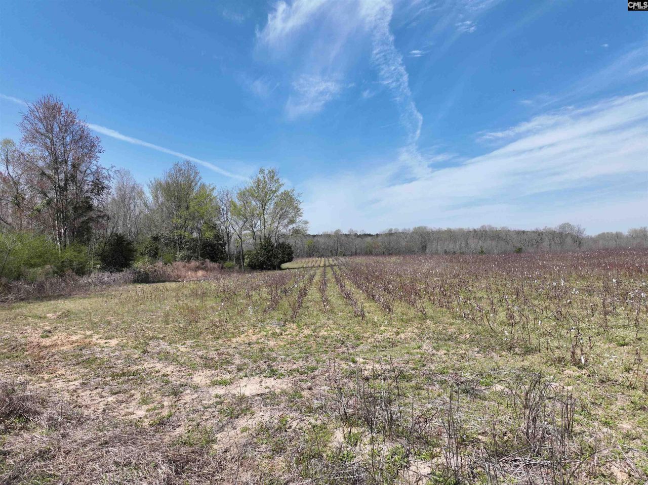 00 Dr Boylston Road Photo 34