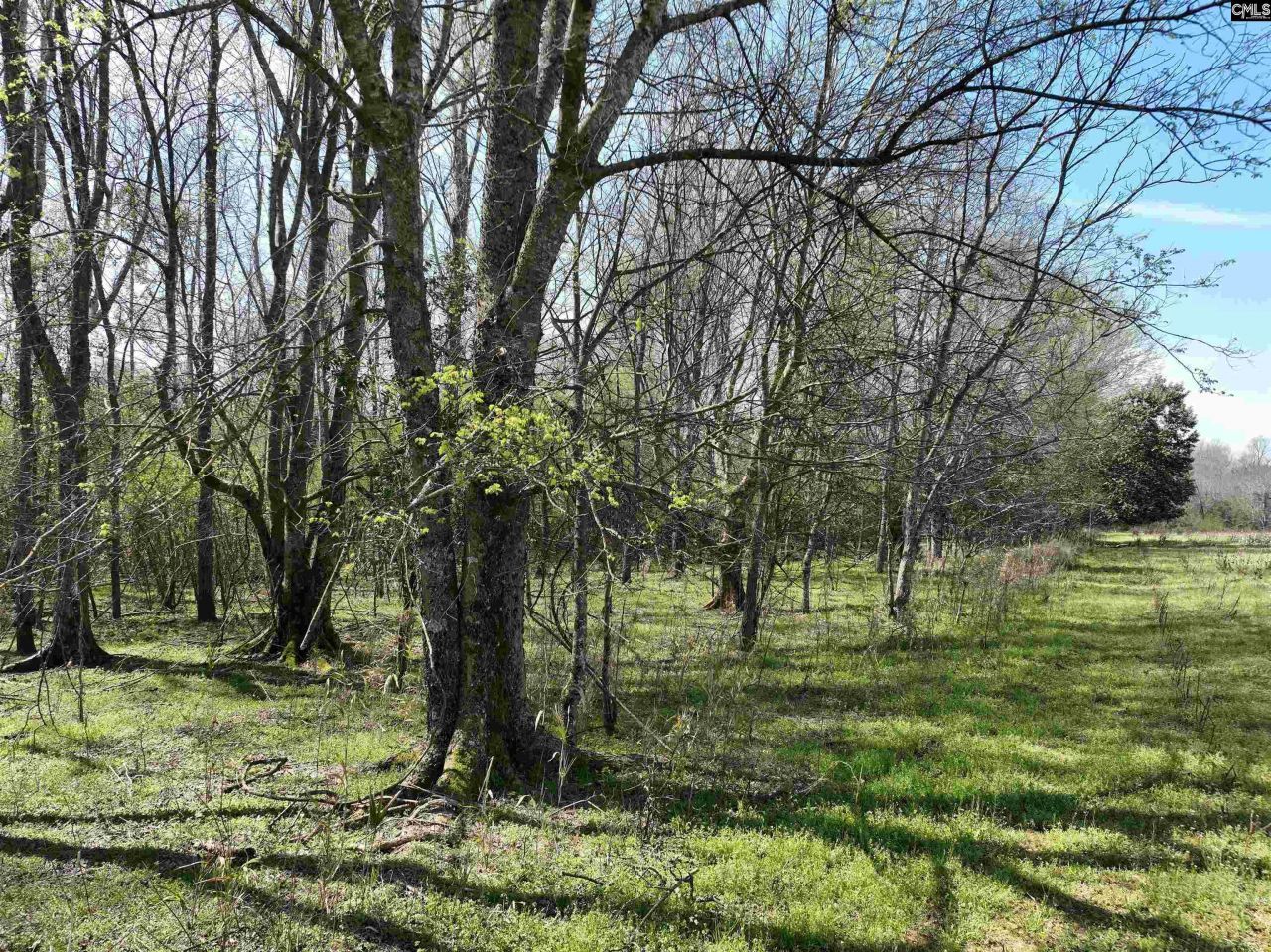 00 Dr Boylston Road Photo 36