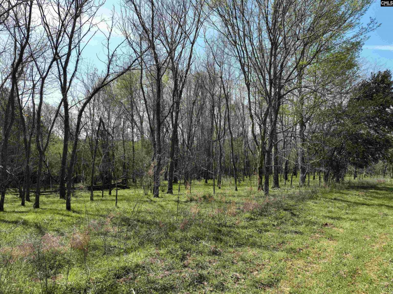 00 Dr Boylston Road Photo 38