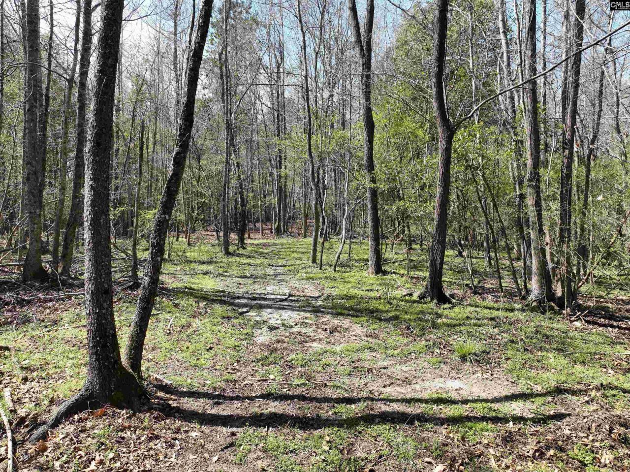 00 Dr Boylston Road Photo 40