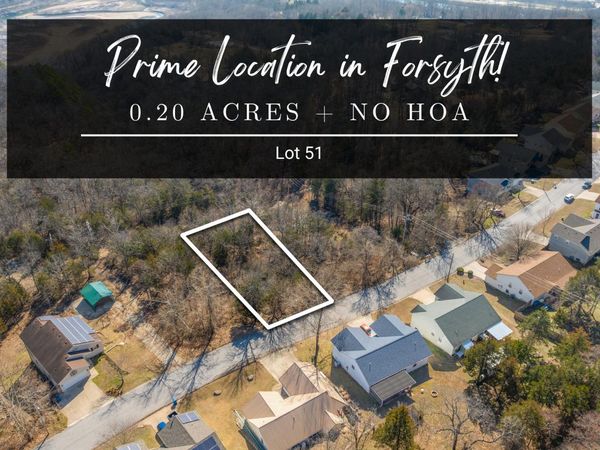 Lot 51 Eagle Drive , Forsyth, MO 65653