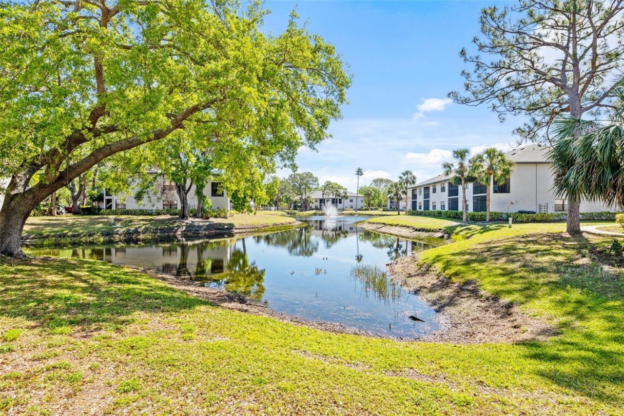 4453 46th Avenue W, Bradenton, FL 34210 Photo