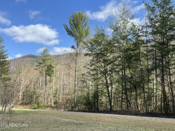 Cougar Trail 3ac, Del Rio, TN 37727