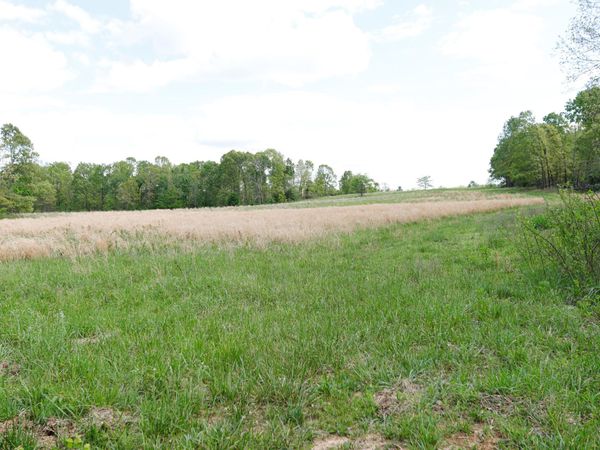 000 State Route M Highway Highway, Koshkonong, MO 65692