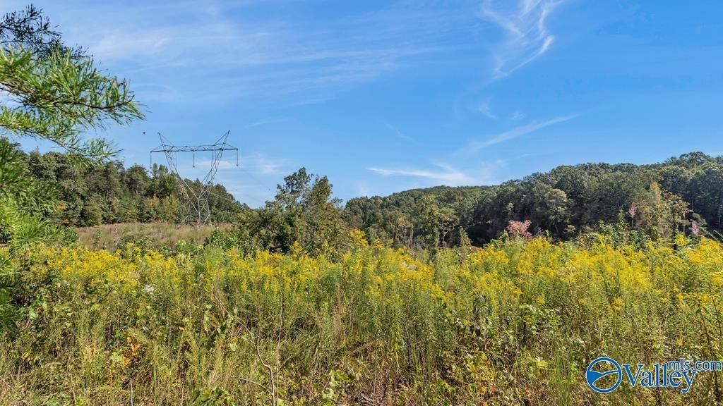 3939 County Road 284, Courtland, AL 35618 Main Photo