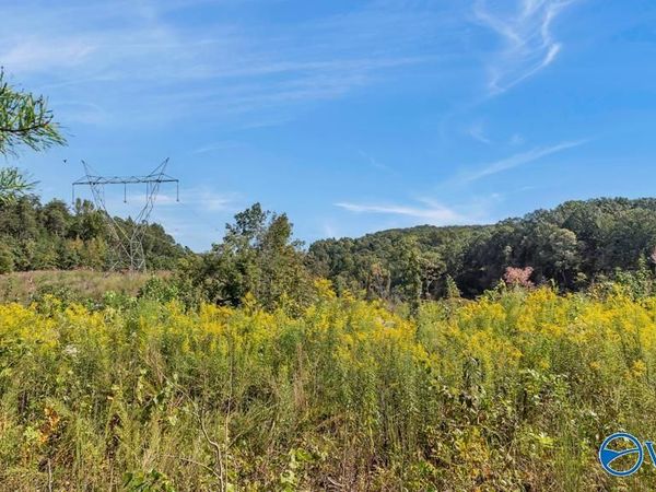 3939 County Road 284, Courtland, AL 35618