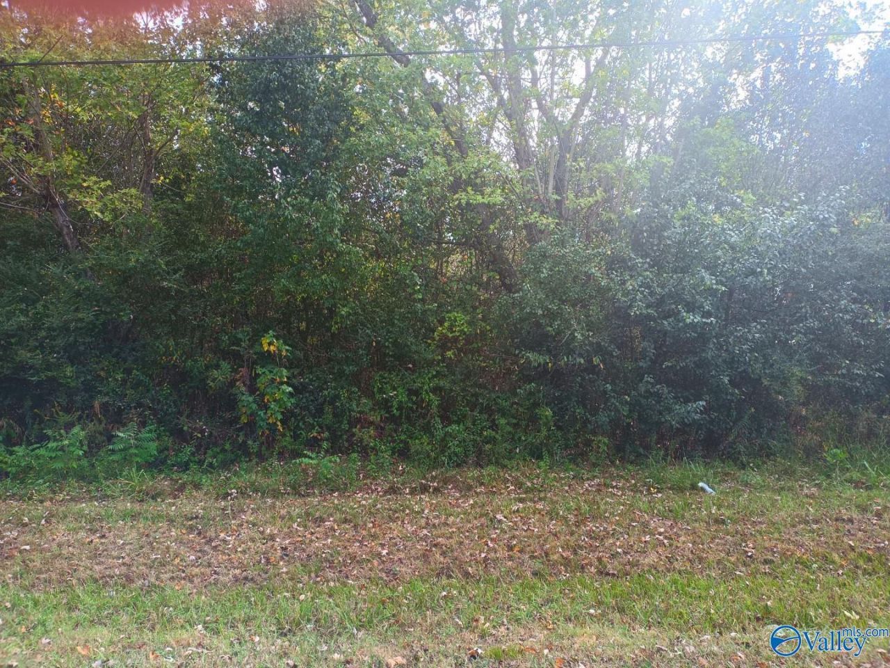 82 Enterprise Drive, Albertville, AL 35951 Main Photo