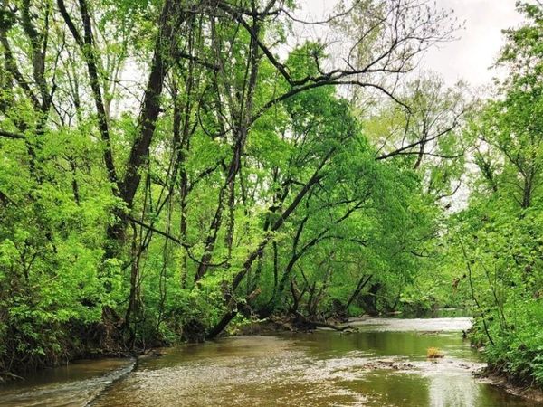 2132 Easy K Road, Sage, AR 72573