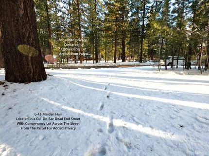 45 Maidenhair Court, South Lake Tahoe, CA 96150 Photo