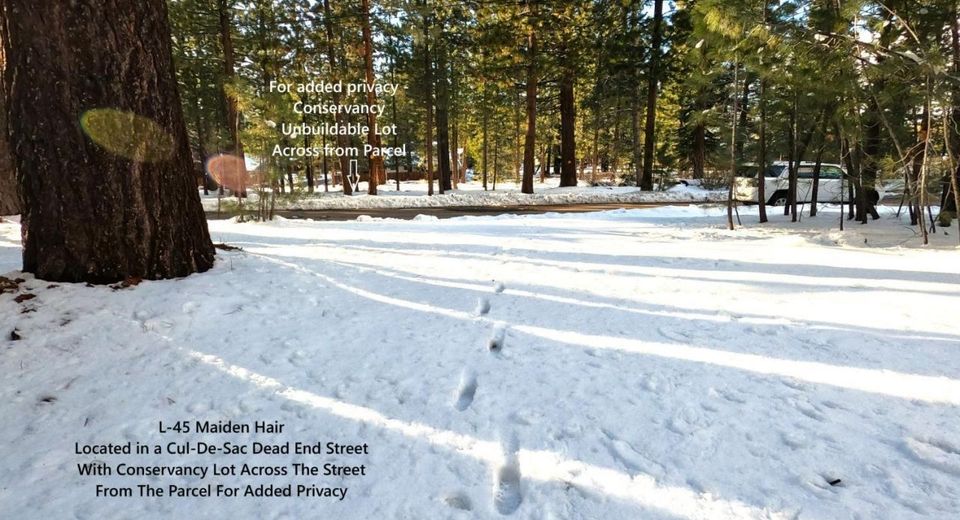 45 Maidenhair Court, South Lake Tahoe, CA 96150 Photo