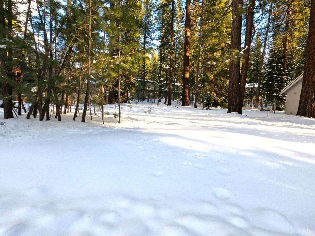 45 Maidenhair Court, South Lake Tahoe, CA 96150 Photo