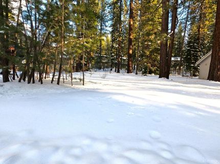 45 Maidenhair Court, South Lake Tahoe, CA 96150 Photo