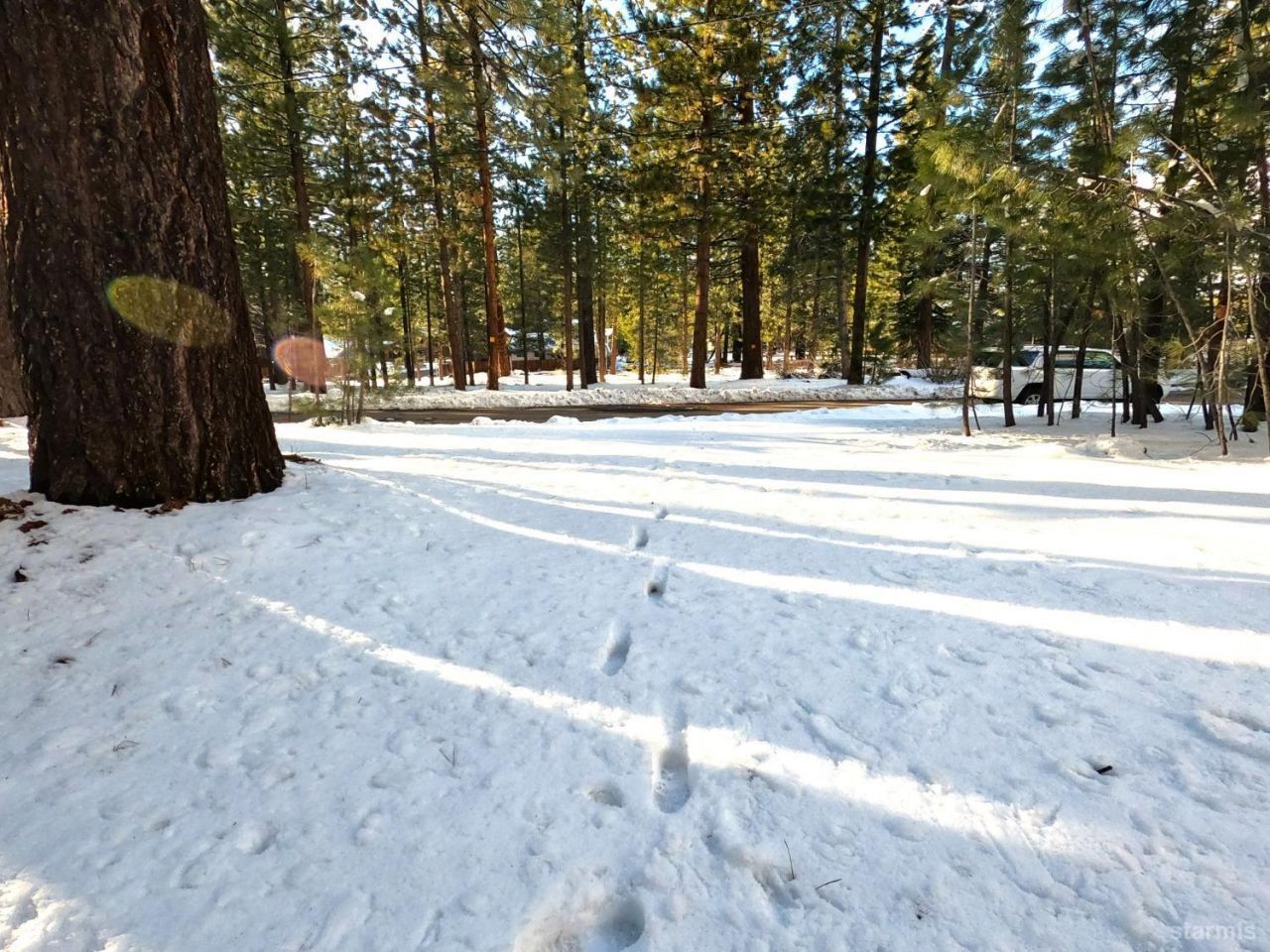 45 Maidenhair Court, South Lake Tahoe, CA 96150 Photo