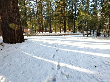 45 Maidenhair Court, South Lake Tahoe, CA 96150 Photo