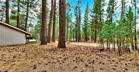 45 Maidenhair Court, South Lake Tahoe, CA 96150 Photo