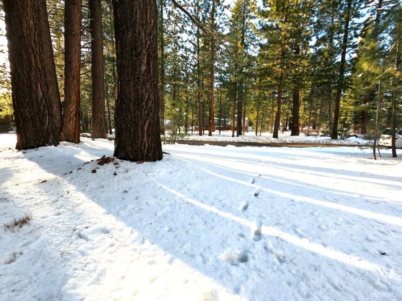 45 Maidenhair Court, South Lake Tahoe, CA 96150 Photo