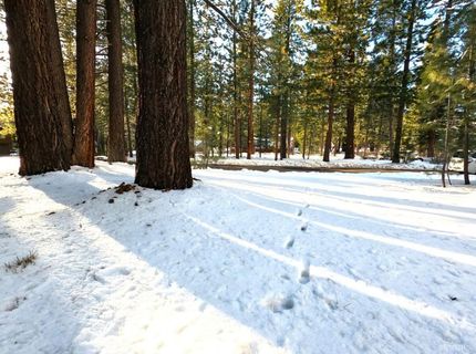 45 Maidenhair Court, South Lake Tahoe, CA 96150 Photo