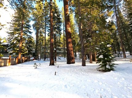 45 Maidenhair Court, South Lake Tahoe, CA 96150 Photo