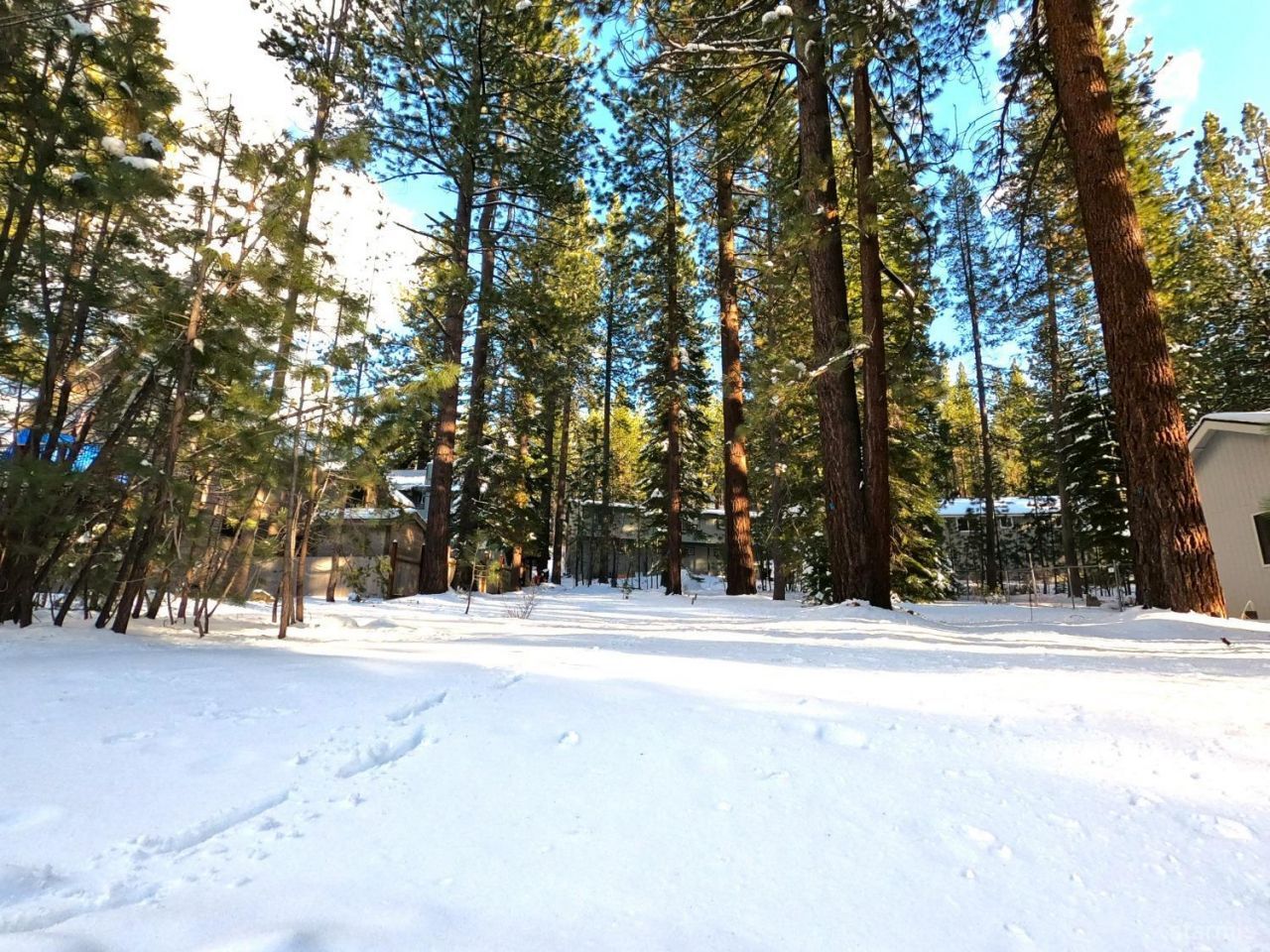 45 Maidenhair Court, South Lake Tahoe, CA 96150 Photo