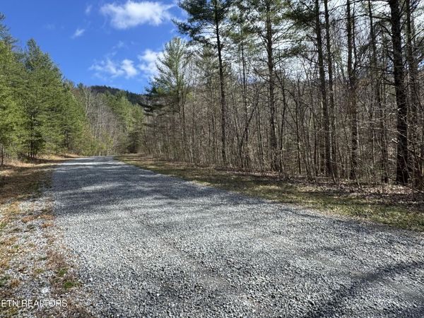 Cougar Trail 10.1, Del Rio, TN 37727