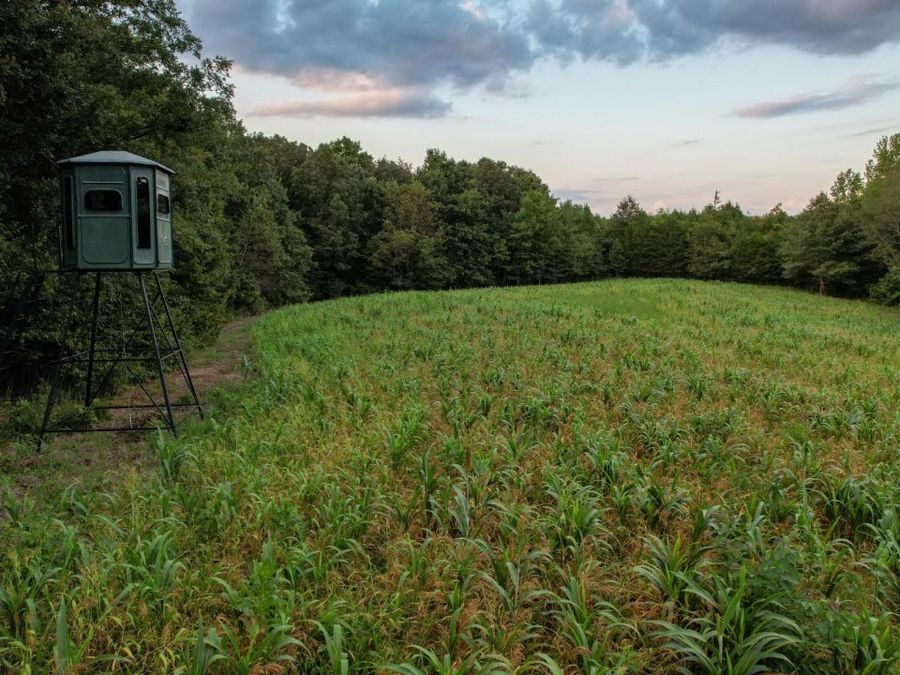Property Image 4
