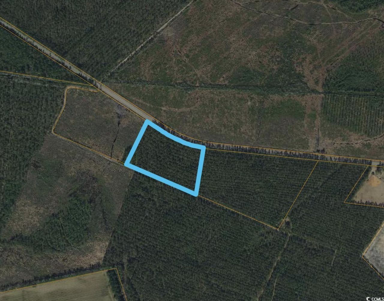 Tbd Joyner Swamp Rd. Photo 10