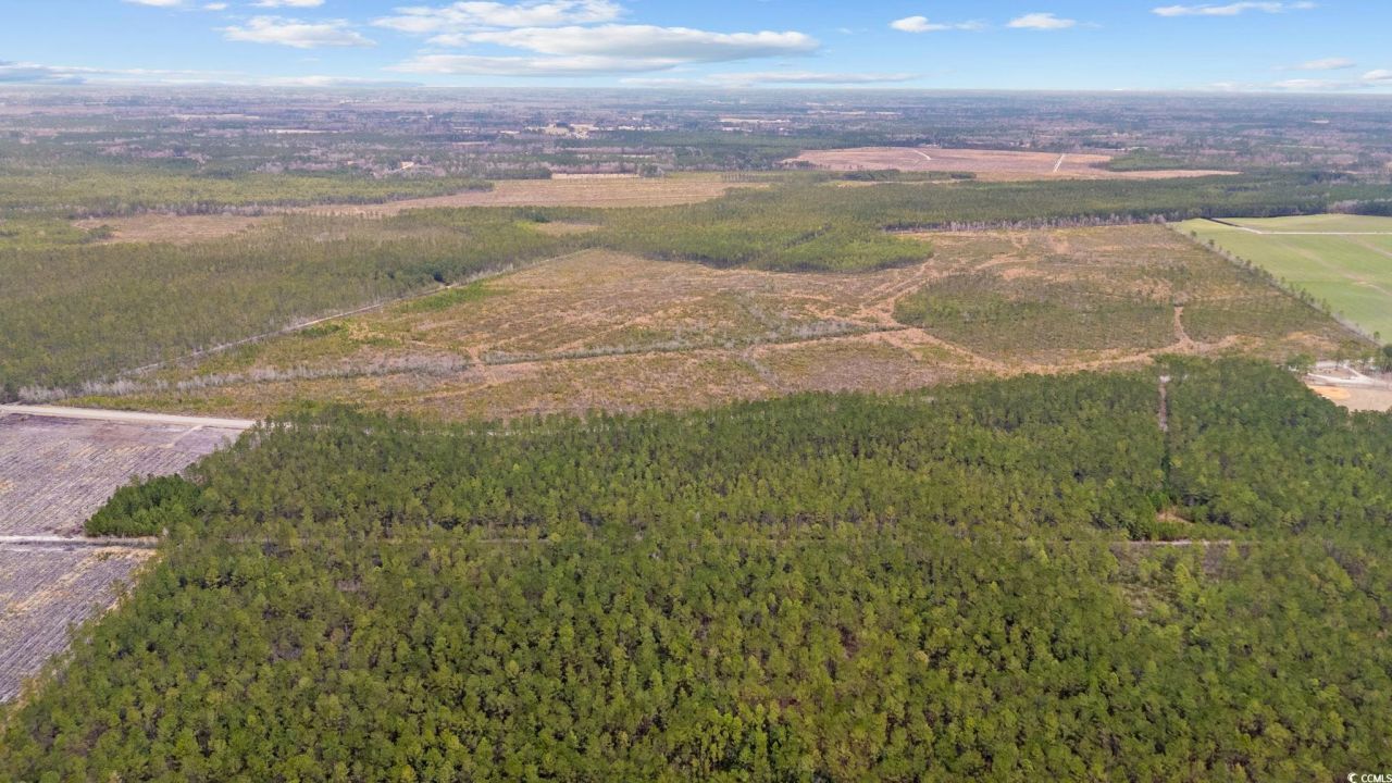 Tbd Joyner Swamp Rd. Photo 4