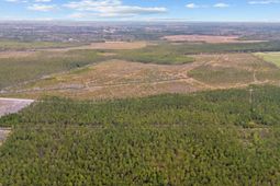 Tbd Joyner Swamp Rd. photo 4