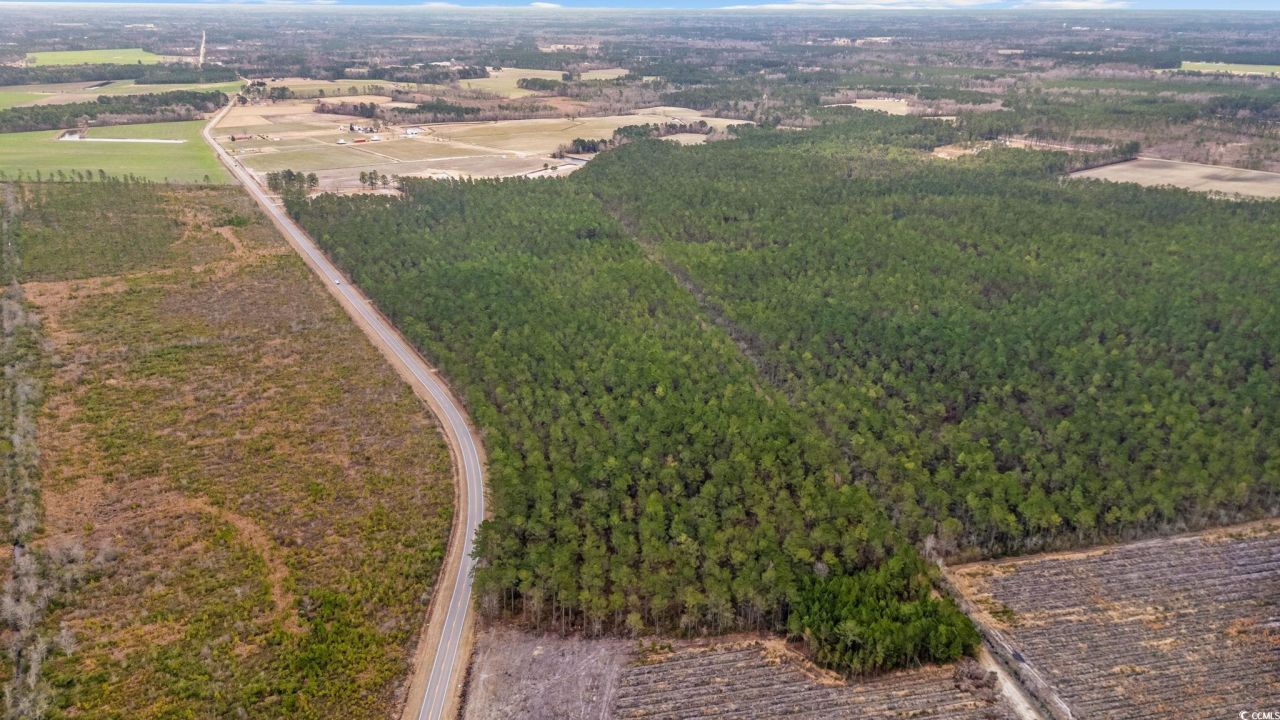 Tbd Joyner Swamp Rd. Photo 5