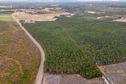 Tbd Joyner Swamp Rd. photo 4