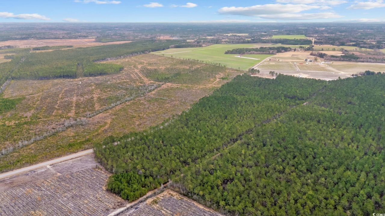 Tbd Joyner Swamp Rd. Photo 9