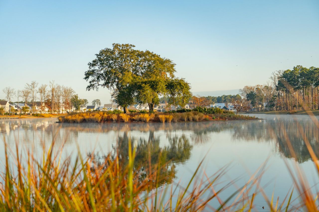 3893 Summerton Street Photo 43