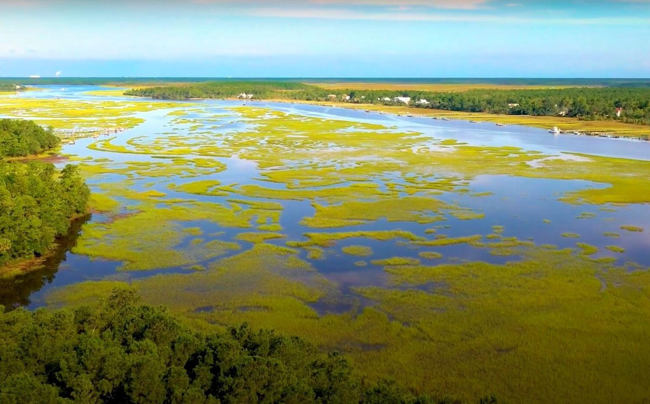 3893 Summerton Street Photo 49