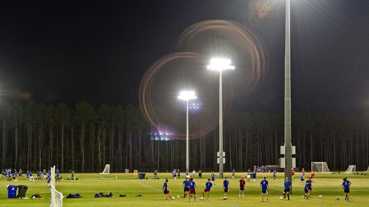 3893 Summerton Street Photo 52