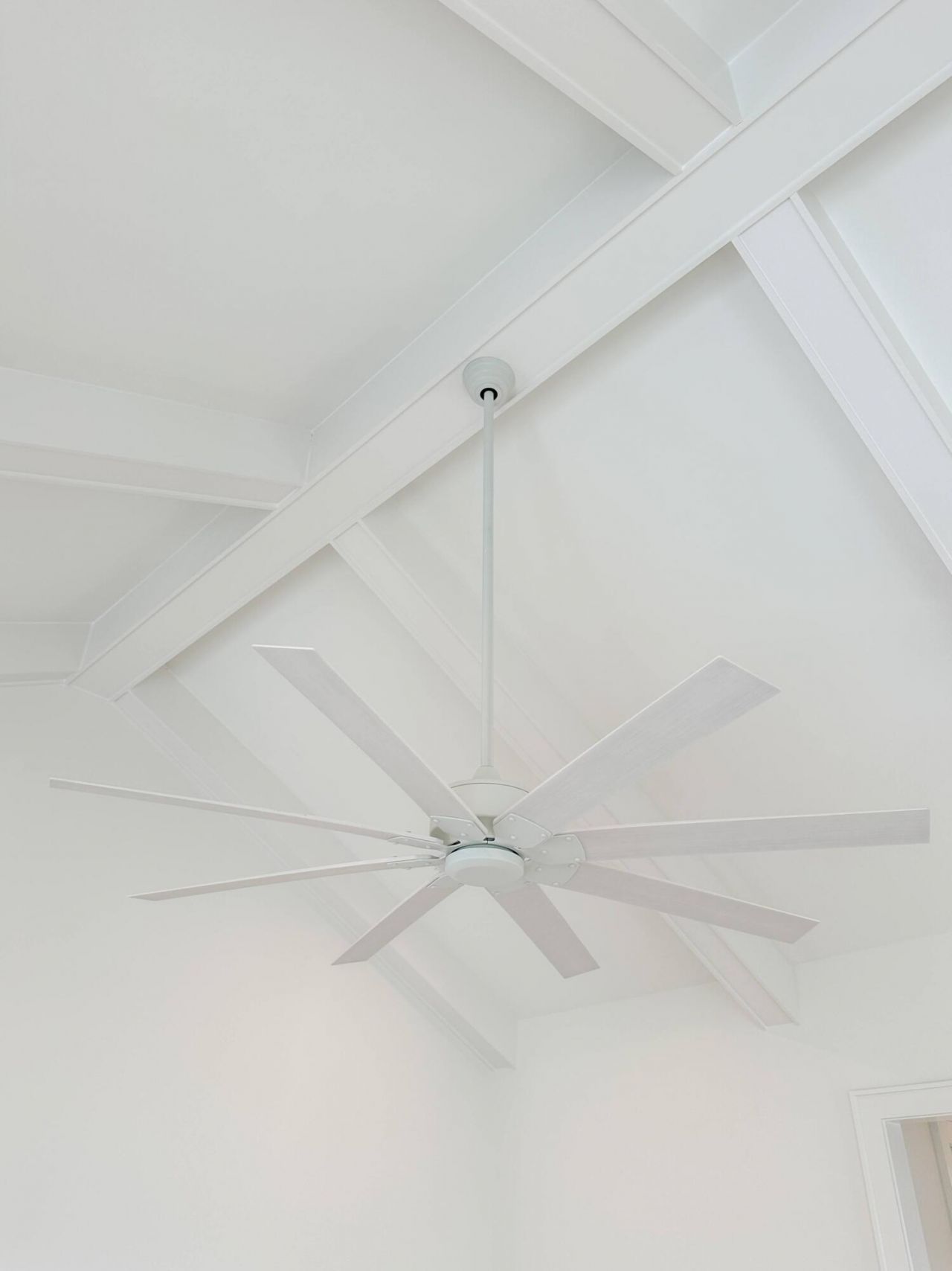 3889 Summerton Street Photo 20