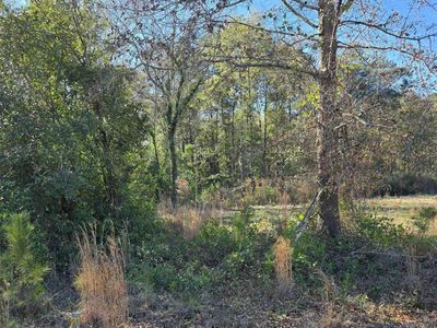 0 Popular Street, Unit 1, Cayce, SC 29033