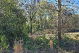 0 Popular Street photo 4