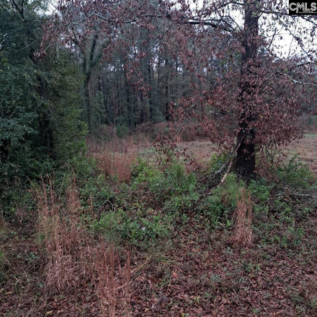 0 Popular Street Photo 4