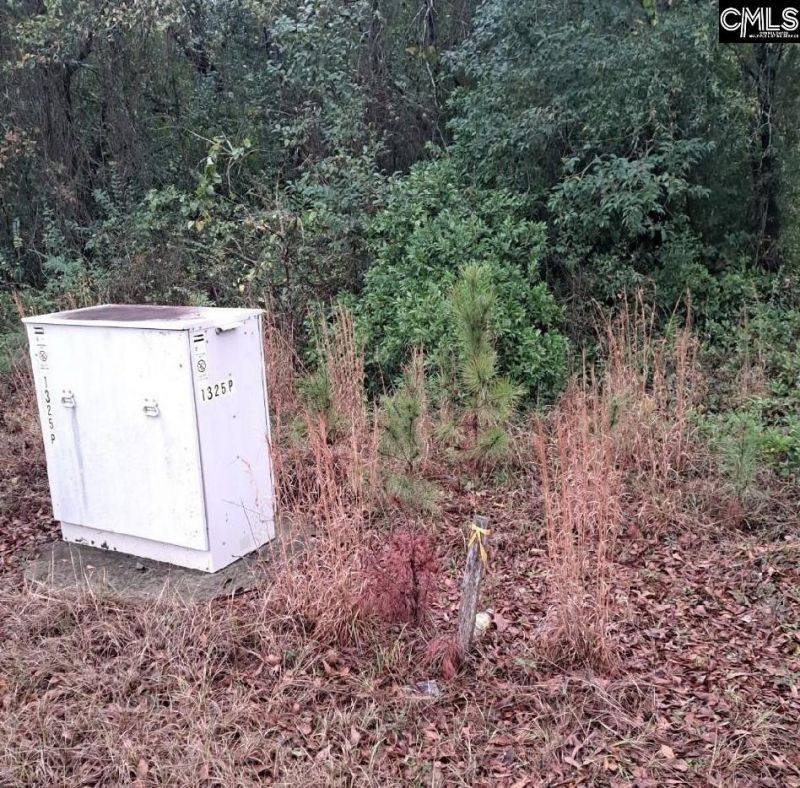 0 Popular Street Photo 5