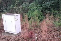 0 Popular Street photo 4